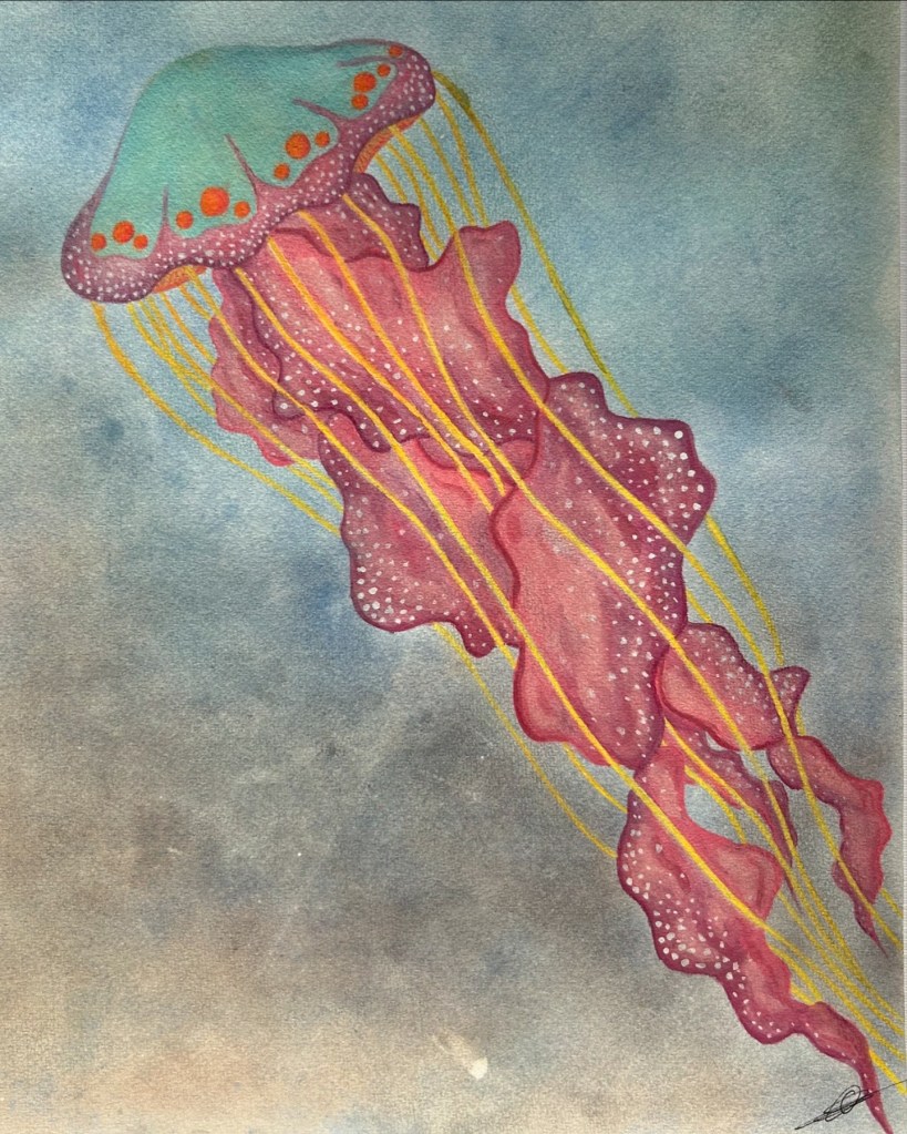 Jellyfish aquarel